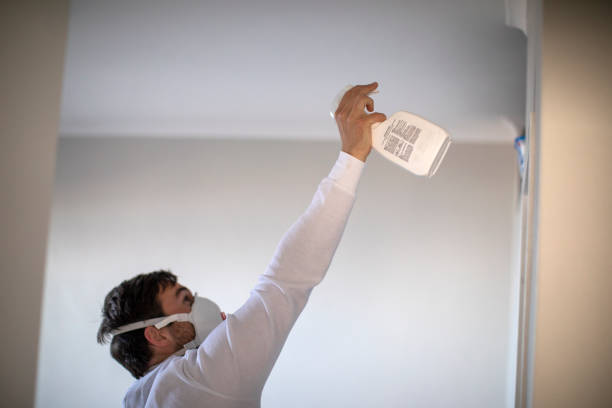 Best Commercial Mold Removal  in Cutchogue, NY