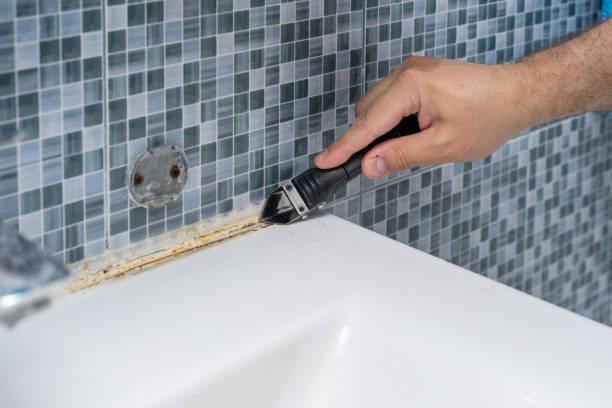 Best Mold Removal Near Me  in Cutchogue, NY